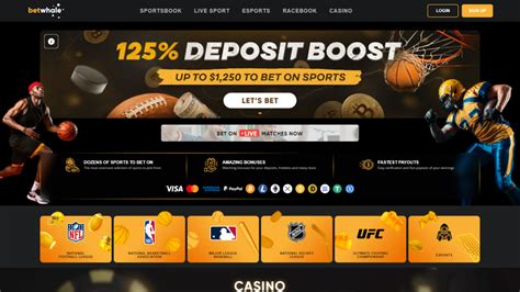 betwhale sportsbook - betwhale casino